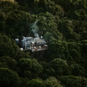 Thunzi Bush , Beachview South Africa
